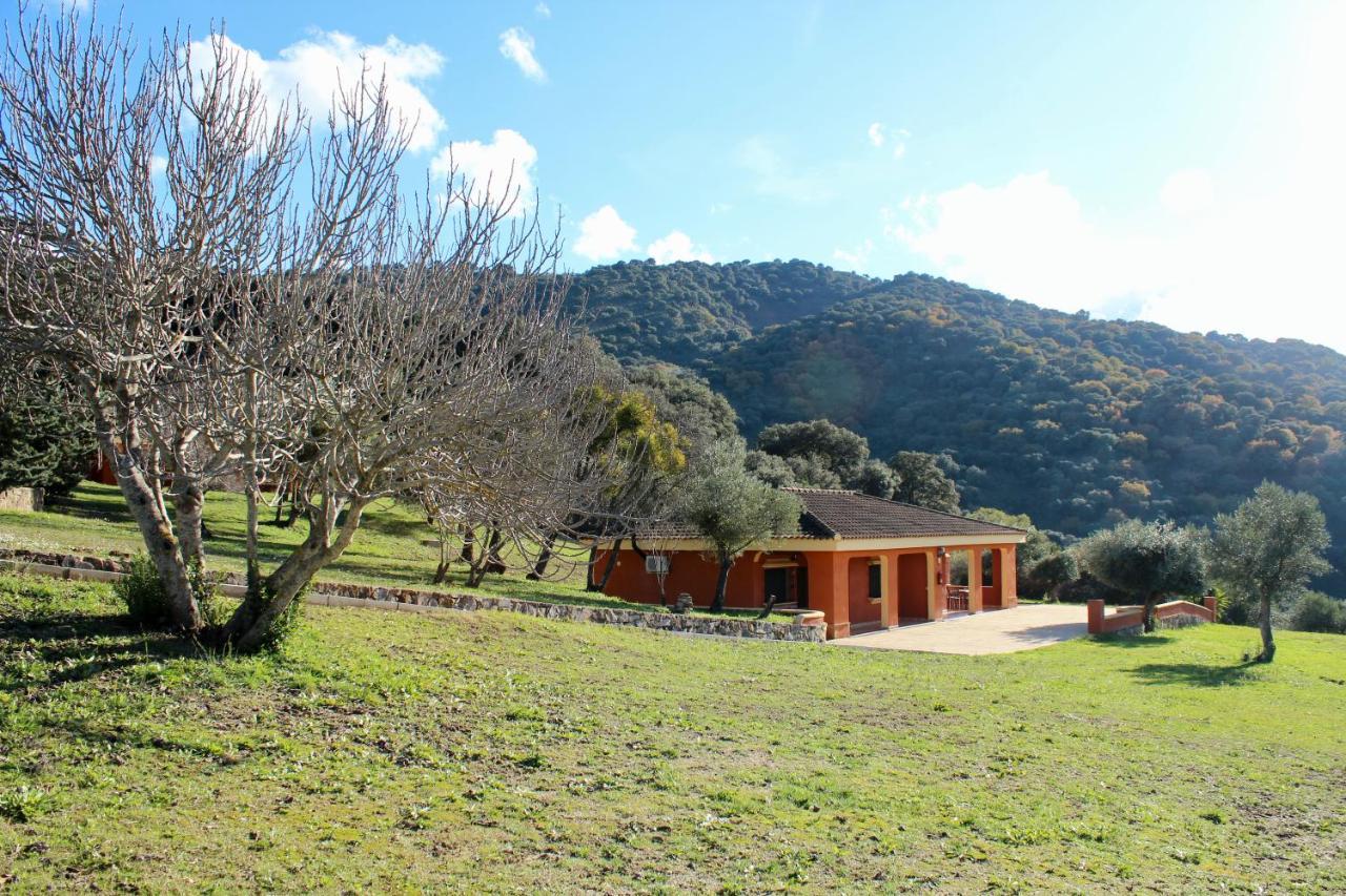 Apartamentos Cedro Alto Benaoján Extérieur photo